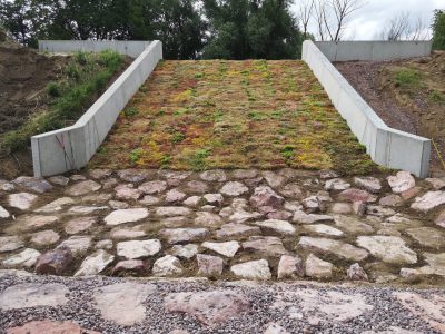 Sanierung Hochwasserrückhaltebecken Schambachtal; Endingen am Kaiserstuhl